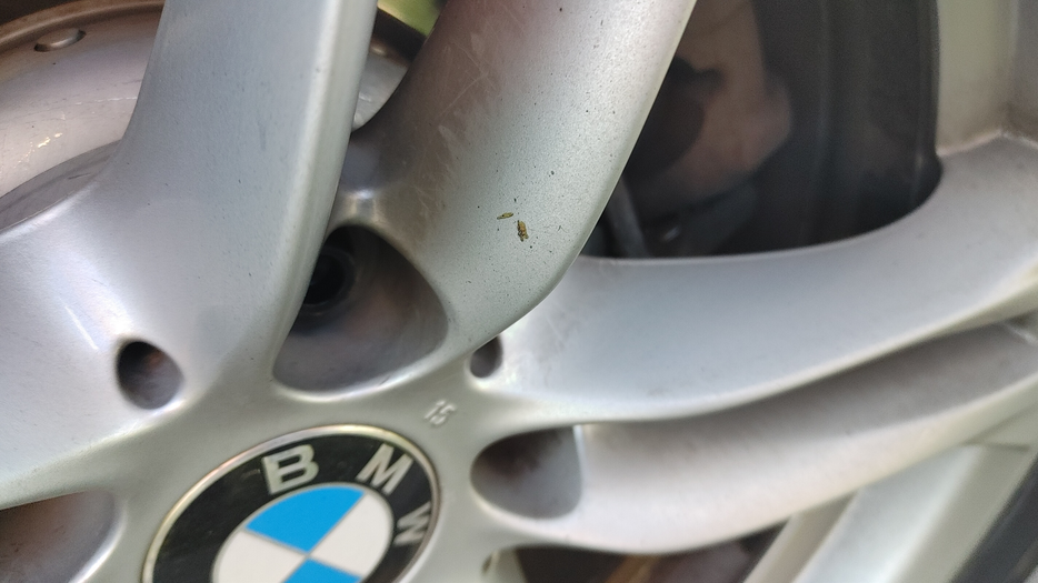 Zdjęcie dodatkowe 1