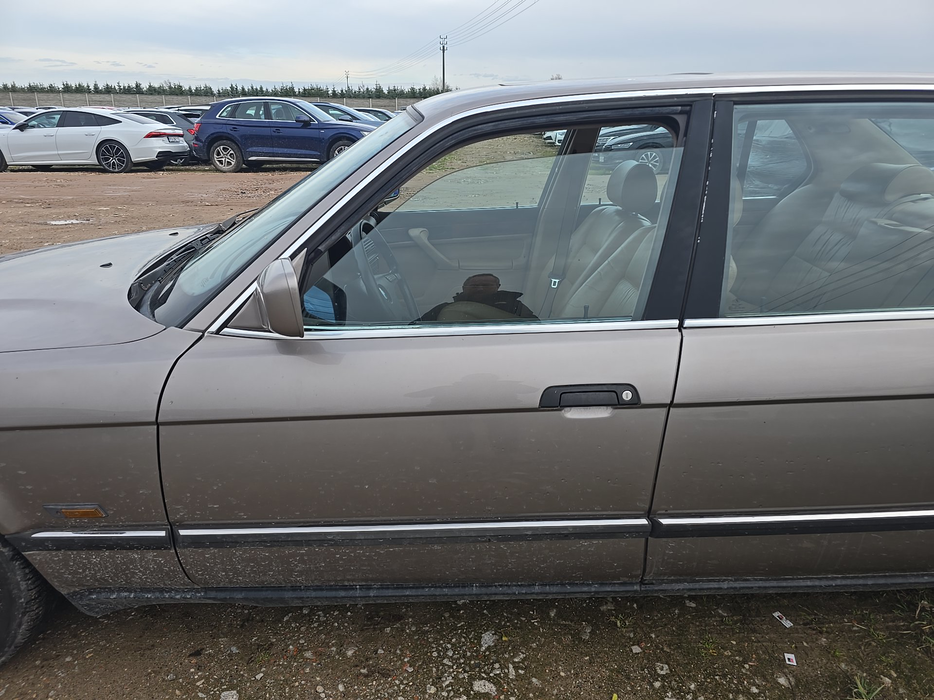 Zdjęcie drzwi przednich lewych wraz z szybą