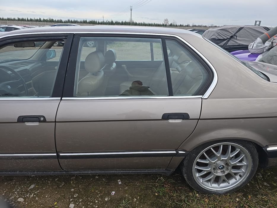 Zdjęcie drzwi tylne lewe wraz z szybą