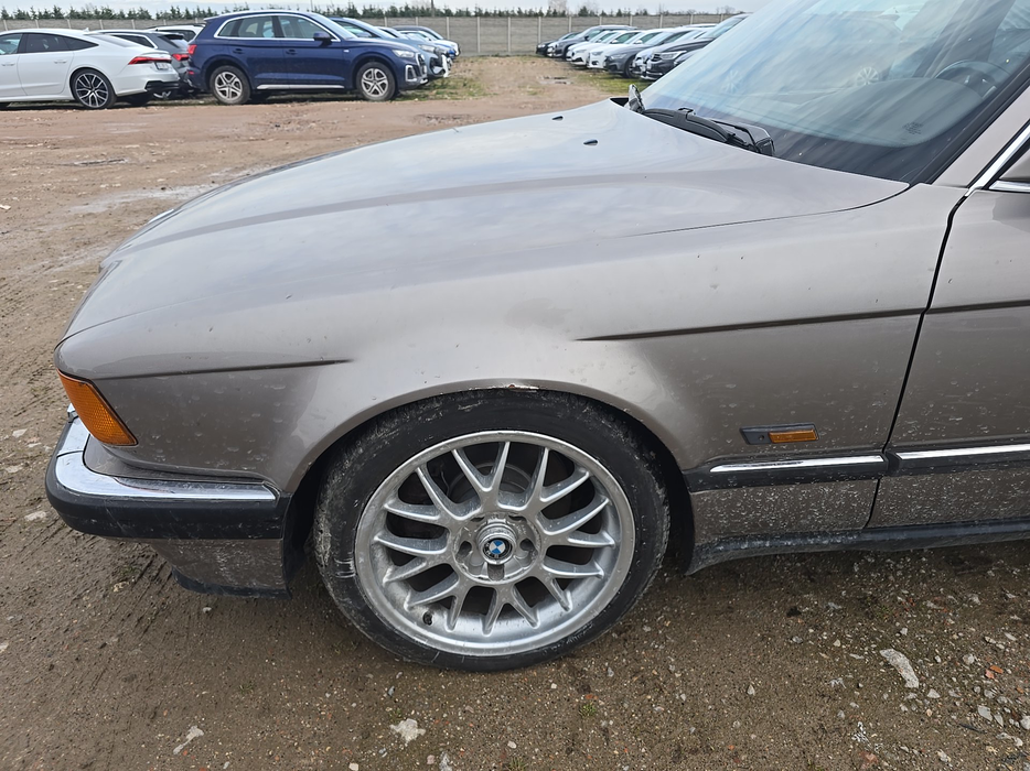 Zdjęcie błotnika przedniego lewego