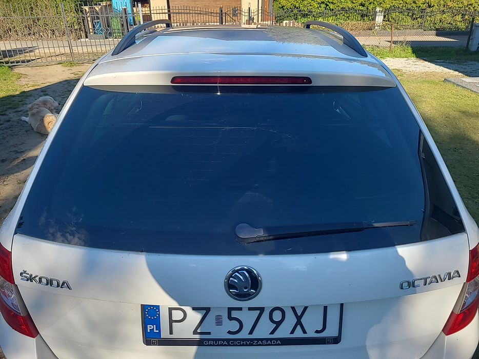 Zdjęcie szyby tylnej
