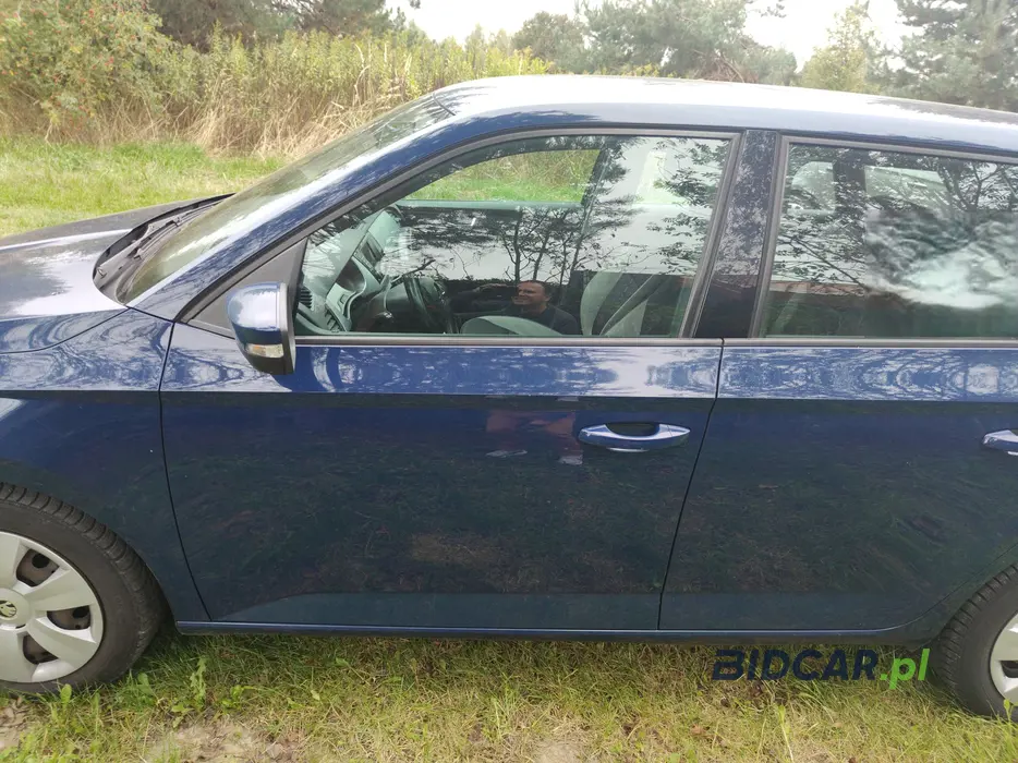 Zdjęcie drzwi przednich lewych wraz z szybą