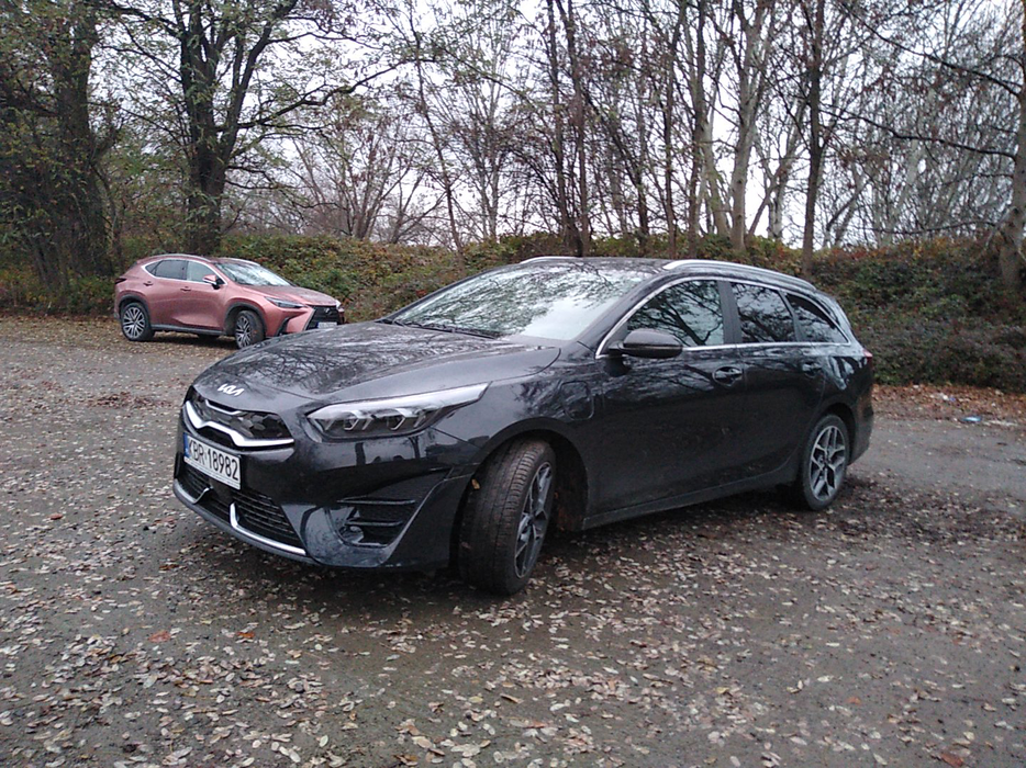 Zdjęcie po ukosie, lewy przód