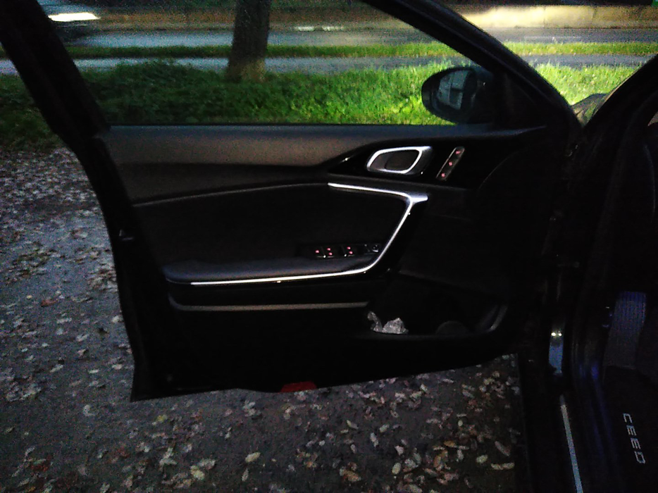 Zdjęcie tapicerki drzwi przednich lewych