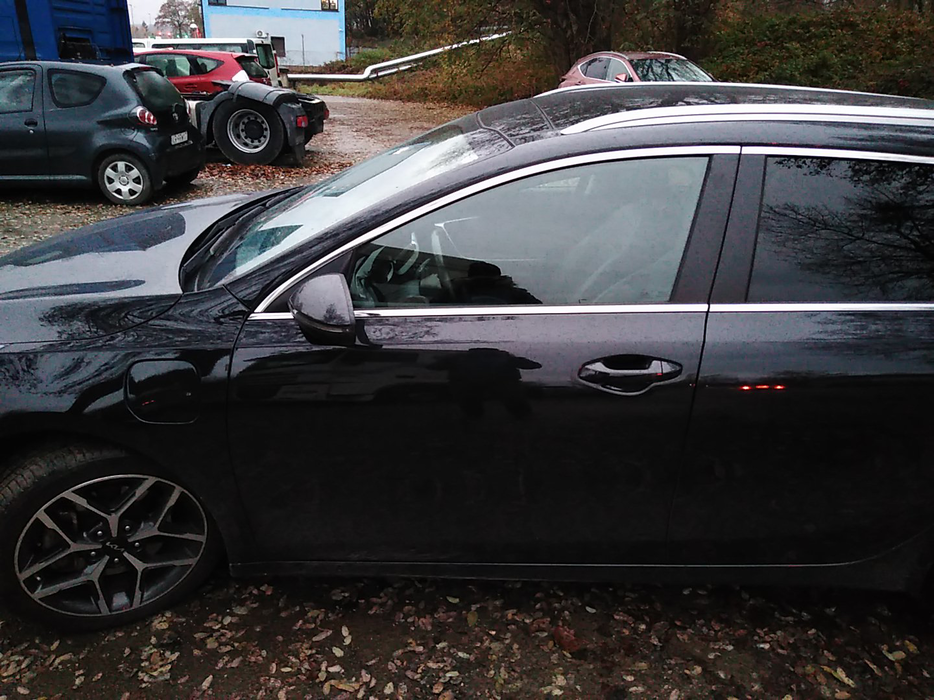 Zdjęcie drzwi przednich lewych wraz z szybą