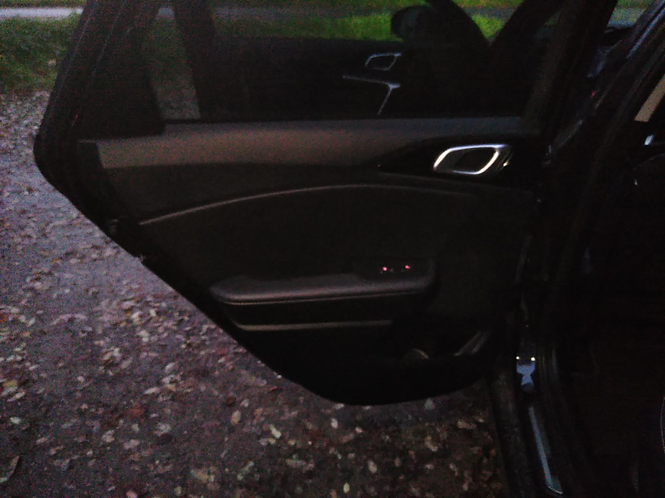 Zdjęcie tapicerki drzwi tylnych lewych