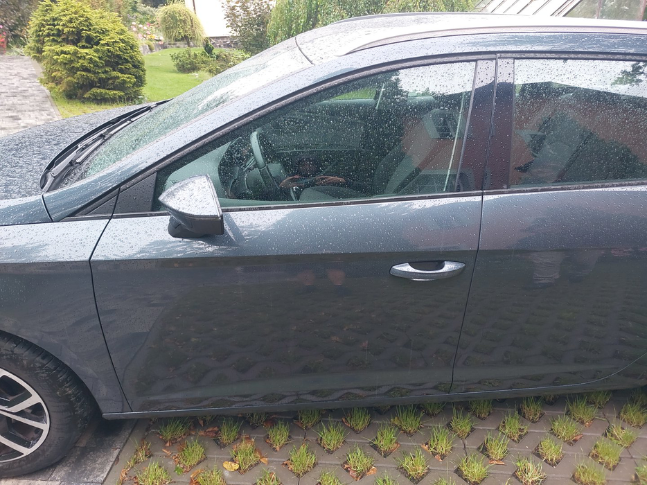 Zdjęcie drzwi przednich lewych wraz z szybą