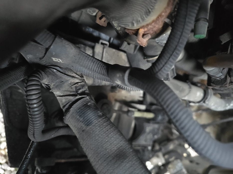 Zdjęcie dodatkowe 2