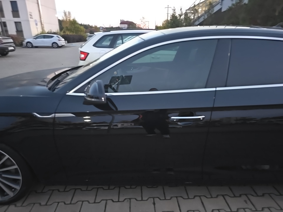 Zdjęcie drzwi przednich lewych wraz z szybą