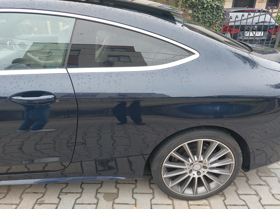 Zdjęcie drzwi tylne lewe wraz z szybą