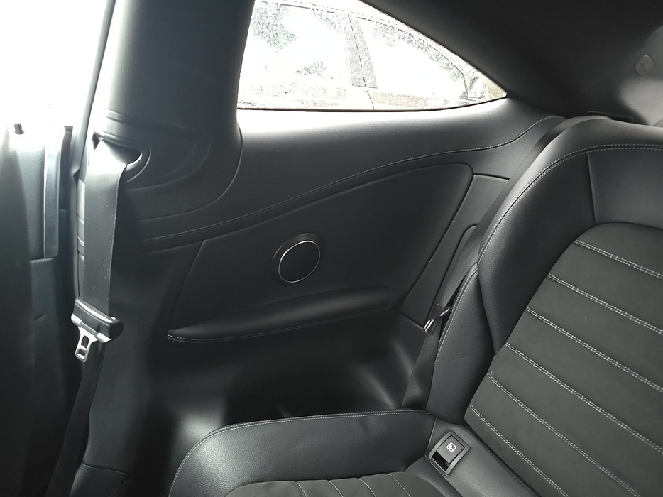 Zdjęcie tapicerki drzwi tylnych prawych