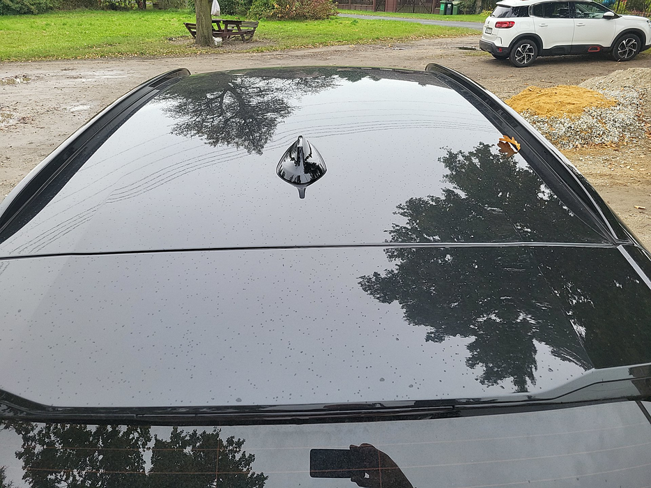 Zdjęcie dachu część tylna