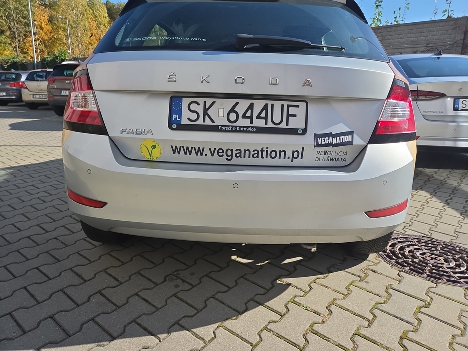 Zdjęcie zderzaka tylnego