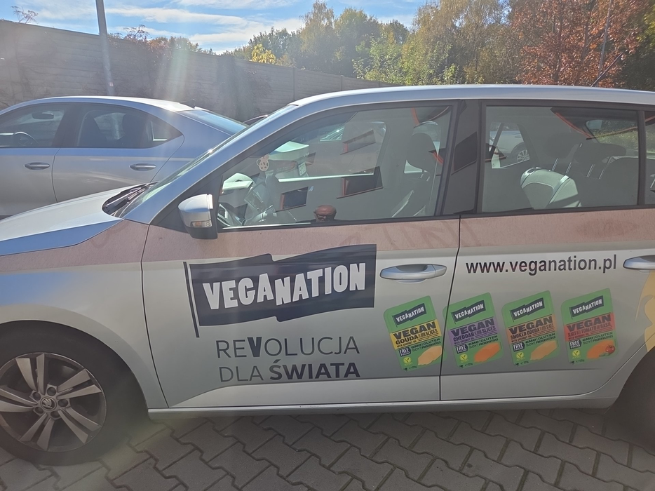 Zdjęcie drzwi przednich lewych wraz z szybą
