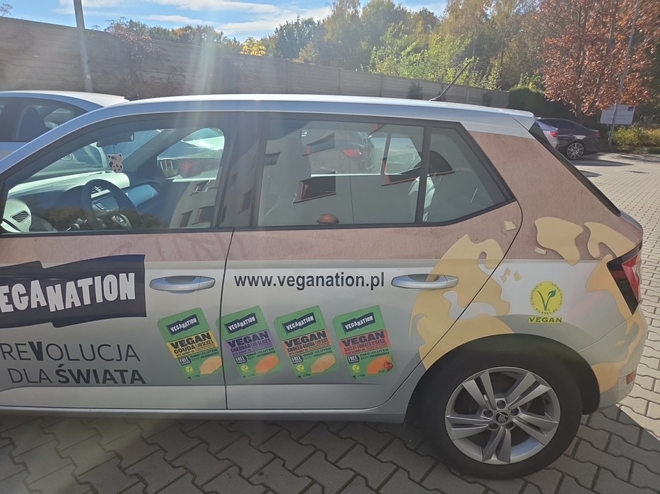 Zdjęcie drzwi tylne lewe wraz z szybą