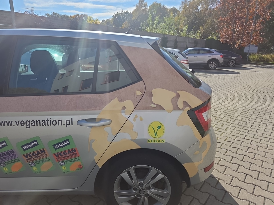 Zdjęcie błotnika tylnego lewego