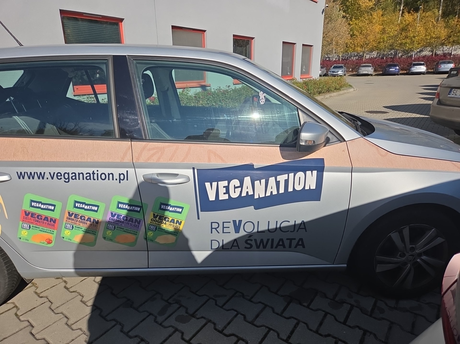 Zdjęcie drzwi przednich prawych wraz z szybą