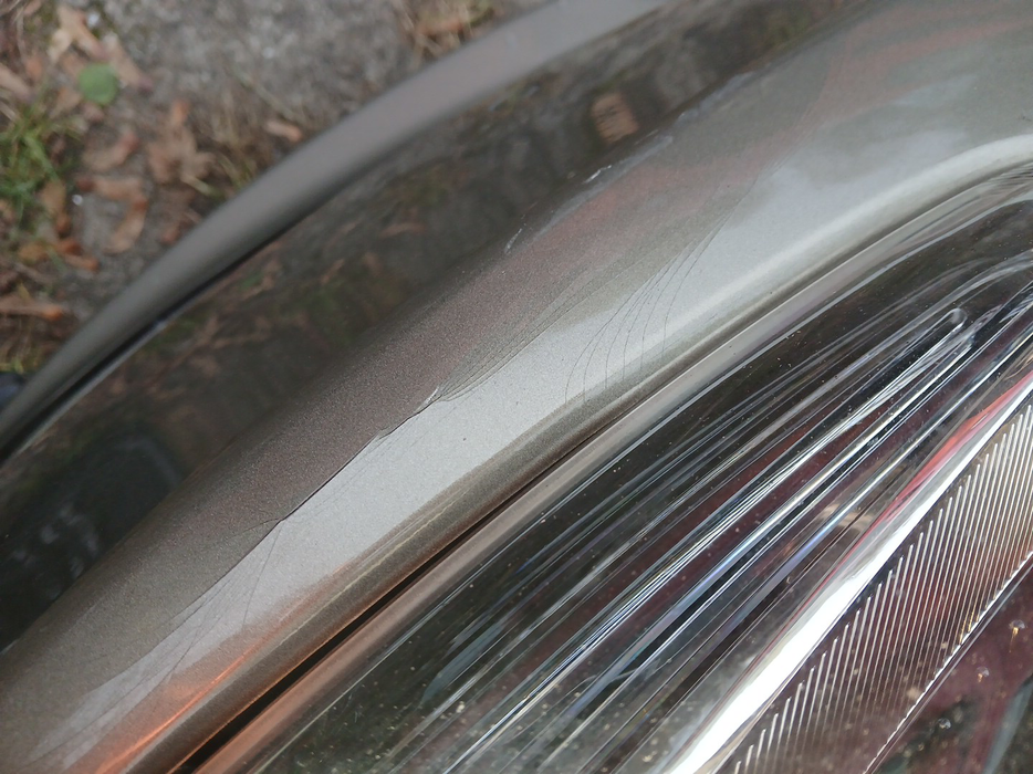 Zdjęcie dodatkowe 2