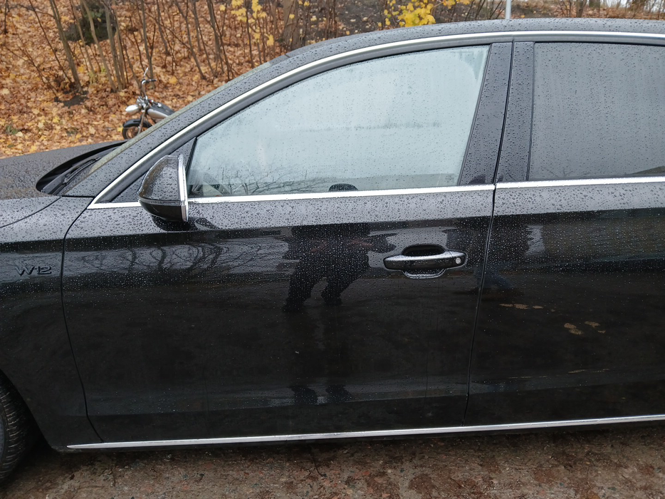 Zdjęcie drzwi przednich lewych wraz z szybą