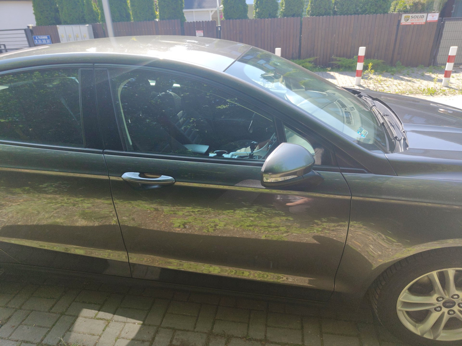 Zdjęcie drzwi przednich prawych wraz z szybą