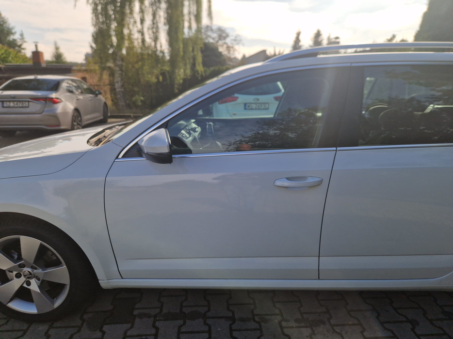 Zdjęcie drzwi przednich lewych wraz z szybą