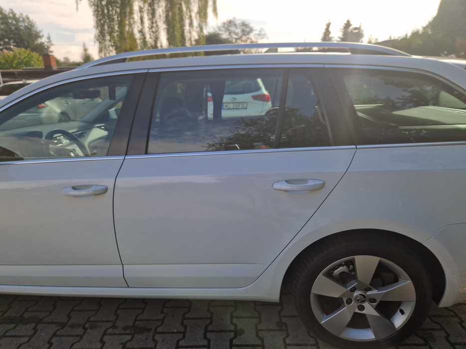 Zdjęcie drzwi tylne lewe wraz z szybą