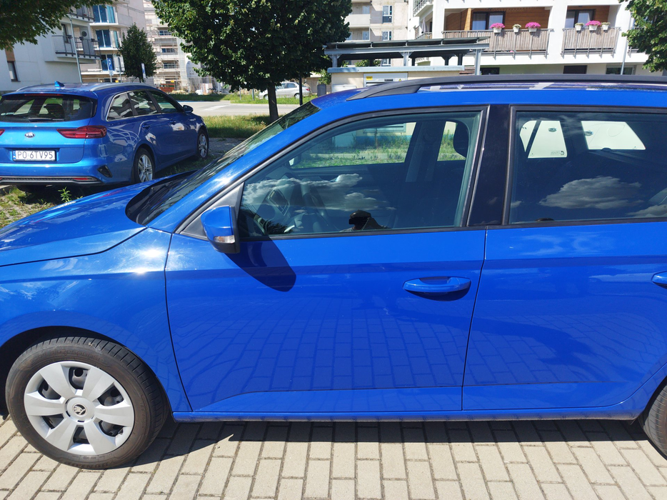 Zdjęcie drzwi przednich lewych wraz z szybą