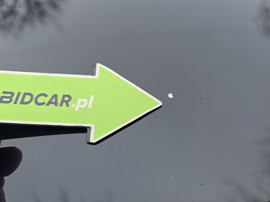 Zdjęcie dodatkowe 7