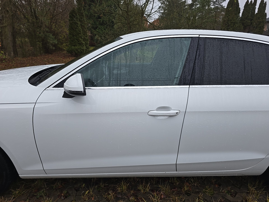 Zdjęcie drzwi przednich lewych wraz z szybą