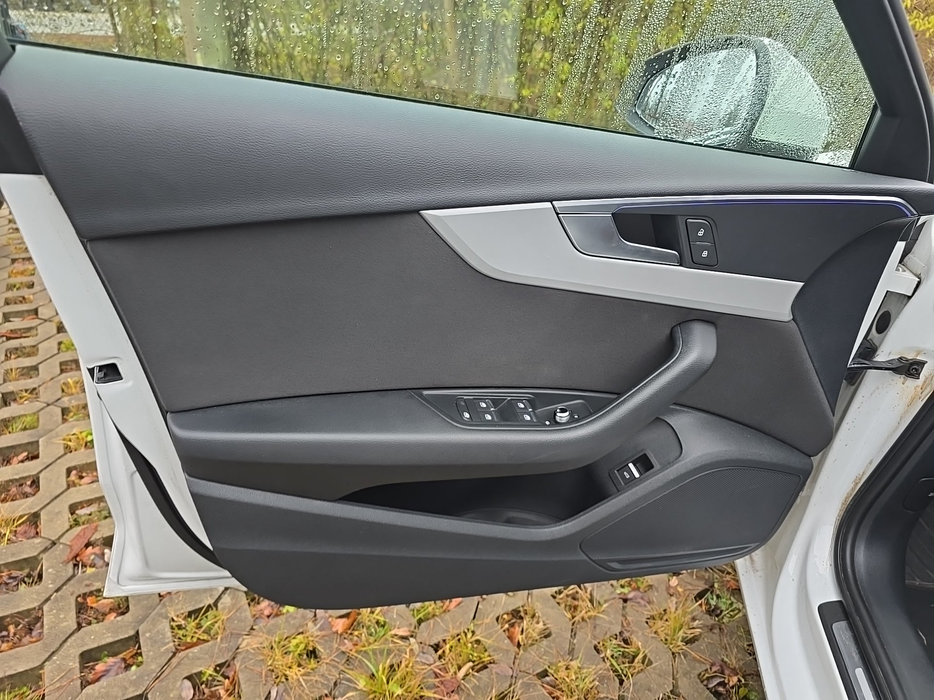 Zdjęcie tapicerki drzwi przednich lewych