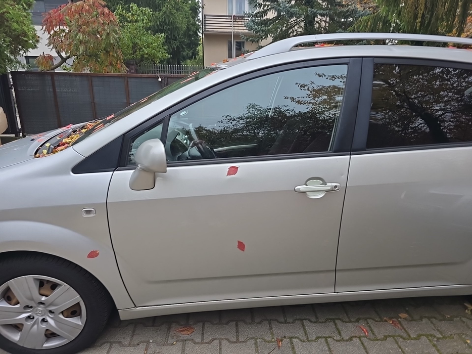 Zdjęcie drzwi przednich lewych wraz z szybą