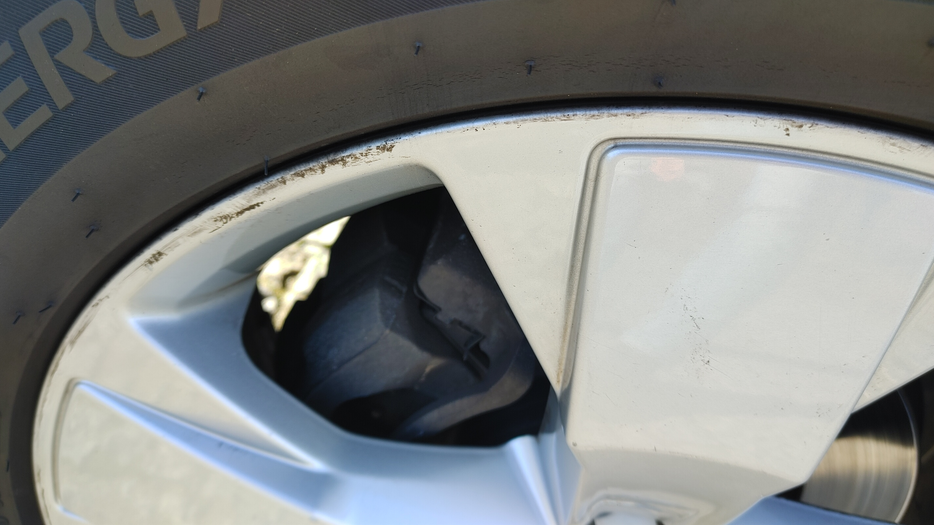 Zdjęcie dodatkowe 5