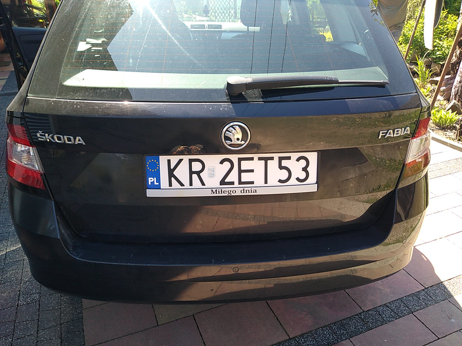 Zdjęcie dodatkowe 6