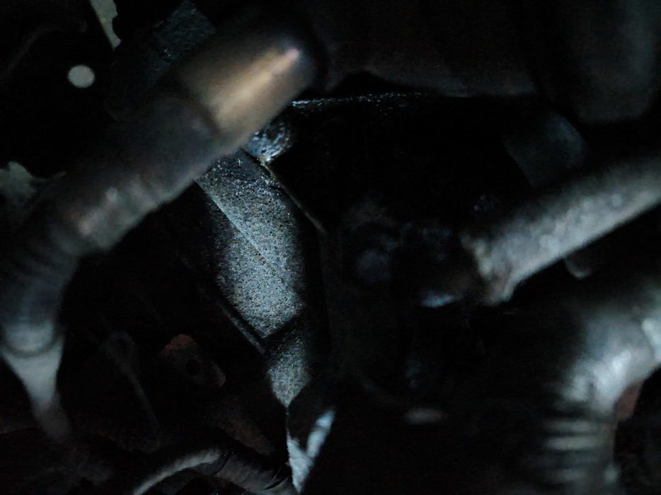 Zdjęcie dodatkowe 2