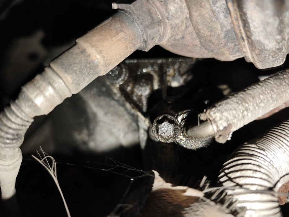 Zdjęcie dodatkowe 3