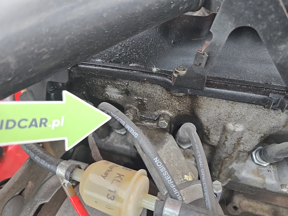 Zdjęcie dodatkowe 1