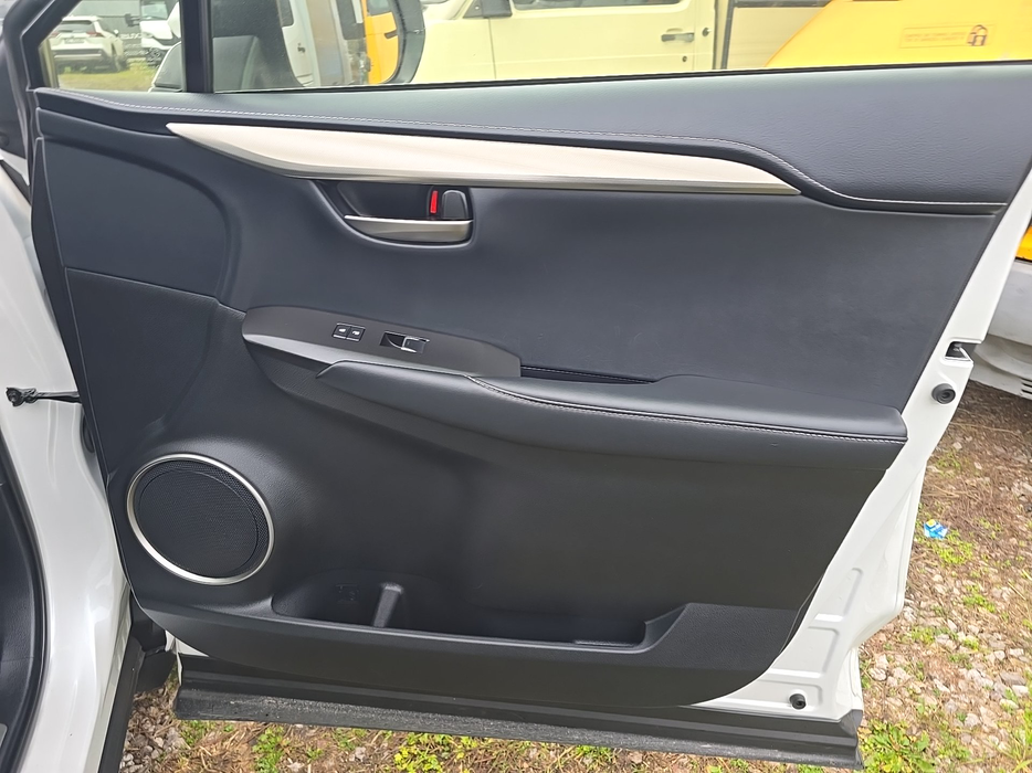 Zdjęcie tapicerki drzwi przednich prawych