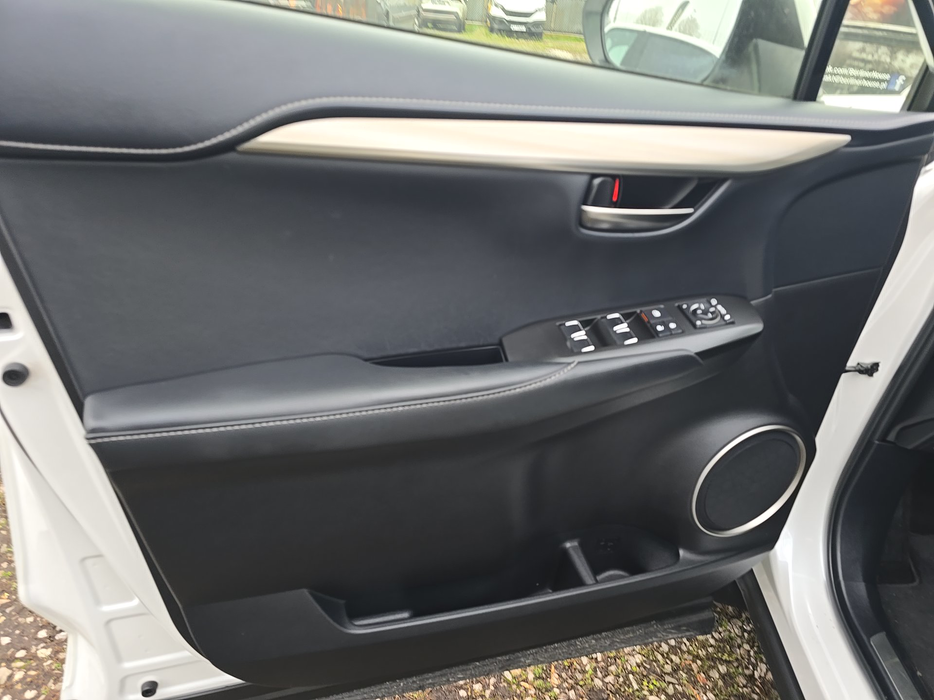 Zdjęcie tapicerki drzwi przednich lewych