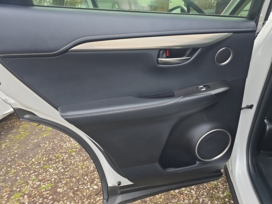 Zdjęcie tapicerki drzwi tylnych lewych