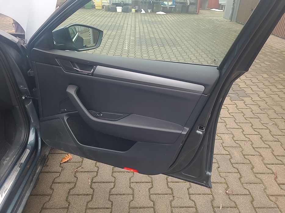 Zdjęcie tapicerki drzwi przednich prawych