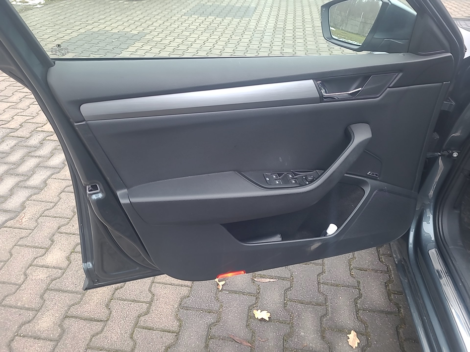 Zdjęcie tapicerki drzwi przednich lewych